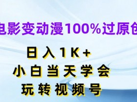 电影变动漫100%过原创，日入1K+，小白当天学会，玩转视频号【揭秘】-天天学吧