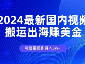 2024最新国内视频搬运出海赚美金，可批量操作月入3w-天天学吧