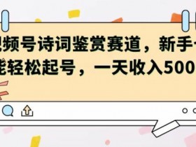 视频号赛道——诗词鉴赏，新手也能轻松起号，一天收入5张-天天学吧