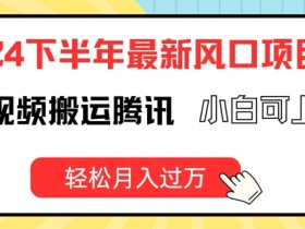 2024下半年最新风口项自，海外视频搬运腾讯，小白可上手，轻松月入过万【揭秘】-天天学吧