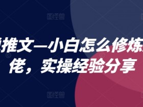 小说推文—小白怎么修炼成大佬，实操经验分享-天天学吧