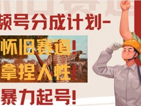 视频号分成计划-怀旧赛道，原创技术，暴力起号-天天学吧