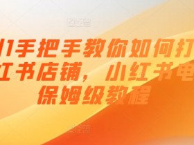 0到1手把手教你如何打爆小红书店铺，小红书电商保姆级教程-天天学吧