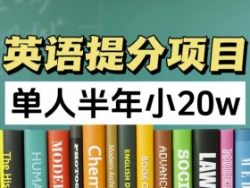 英语提分项目，100%正规项目，单人半年小 20w-天天学吧