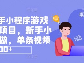 抖音快手小程序游戏发行人项目，新手小白都可做，单条视频收益9000+-天天学吧