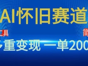 新风口，AI怀旧赛道，一单收益200+，手机电脑可做-天天学吧