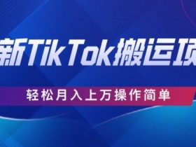 史上最简单，搬运TikTok历史视频，去重后轻松月赚万元-天天学吧