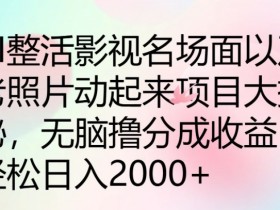 AI整活影视名场面以及老照片动起来项目大揭秘，无脑撸分成收益-天天学吧