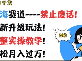 超级干货，蓝海赛道-禁止废话，最新升级玩法，完整实操教学，轻松月入过万【揭秘】-天天学吧