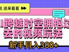 AI跨越时空拥抱过去的视频玩法，新手月入3000+【揭秘】-天天学吧