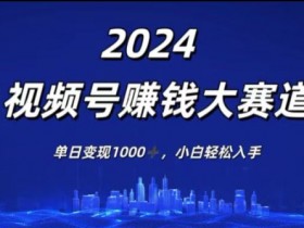 2024年度视频号赚钱大赛道，单日变现1K，小白轻松入手-天天学吧