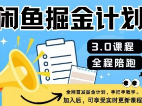 闲鱼掘金计划3.0，一部手机就可操作-天天学吧