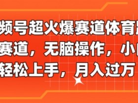 视频号超火爆赛道体育跳水赛道，无脑操作，小白轻松上手，月入过万-天天学吧