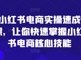 小红书电商实操速成课，让你快速掌握小红书电商核心技能-天天学吧