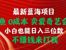 闲鱼卖会员，0成本，当日出单 日入1.5k，持续复购-天天学吧