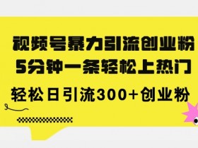 全新视频号暴力引流创业粉，三分钟一条简单上热门，日引300+创业粉-天天学吧