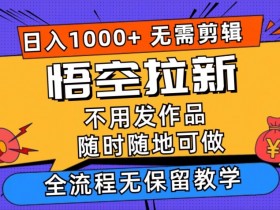 悟空拉新日入1k+无需剪辑当天上手，一部手机随时随地可做，无保留教学-天天学吧