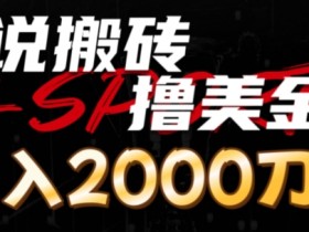 小说搬砖撸美刀，月入2000刀-天天学吧