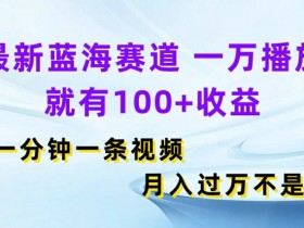 最新蓝海赛道，一万播放就有100+收益，一分钟一条视频，月入过万-天天学吧