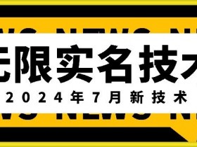 无限实名技术(2024年7月新技术)，最新技术最新口子，外面收费888-3688的技术-天天学吧