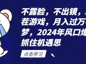 不露脸，不出镜，玩转找茬游戏，月入过万不是梦，2024年风口爆发，抓住机遇【揭秘】-天天学吧