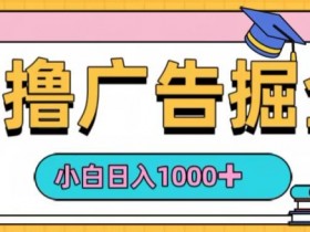 0撸无门槛项目，玩赚广告掘金，轻松日入1k，可批量矩阵，可团队推广-天天学吧