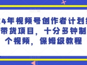 2024年视频号创作者计划结合视频带货项目，十分多钟制作一个视频，保姆级教程-天天学吧