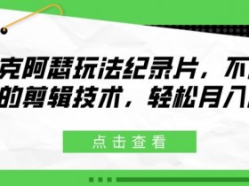 麦克阿瑟玩法纪录片，不需高超的剪辑技术，轻松月入2w+【揭秘】-天天学吧