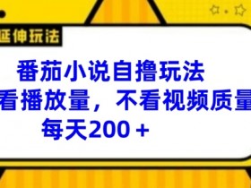 番茄小说自撸玩法，不看播放量，不看视频质量，每天200+【揭秘】-天天学吧