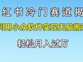 小红书冷门赛道揭秘，利用小众软件实现无脑搬运，轻松月入过万-天天学吧