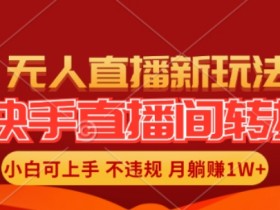 快手直播间全自动转播玩法，全人工无需干预，小白月入1W+轻松实现【揭秘】-天天学吧