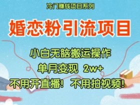 小红书婚恋粉引流，不用开直播，不用拍视频，不用做交付【揭秘】-天天学吧