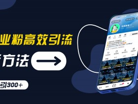 创业粉高效引流，抖音工具号玩法，日引300+，不要成为学习高手，要成为实战高手【揭秘】-天天学吧