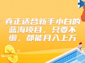 真正适合新手小白的蓝海项目，只要不懒，都能月入上w-天天学吧