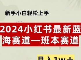 小红书2024蓝海赛道–班本ppt，小白轻松上手，月入1w+-天天学吧