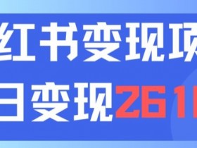 利用小红书卖中考资料一天引流150+变现2600元-天天学吧