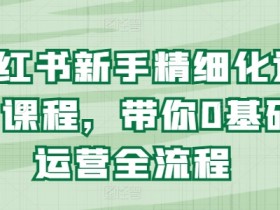 小红书新手精细化运营课程，带你0基础运营全流程-天天学吧