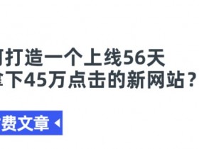 某付费文章《如何打造一个上线56天就拿下45万点击的新网站?》-天天学吧