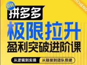 拼多多极限拉升盈利突破进阶课，​从算法到玩法，从玩法到团队搭建，体系化系统性帮助商家实现利润提升-天天学吧