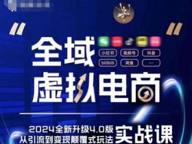 全域虚拟电商4.0 实战为主，理论为辅，5大「黄金赚钱虚拟赛道」，颠覆式的创新玩法交付-天天学吧