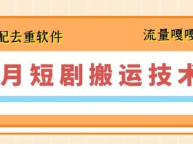 7月最新短剧搬运技术，搭配去重软件操作-天天学吧