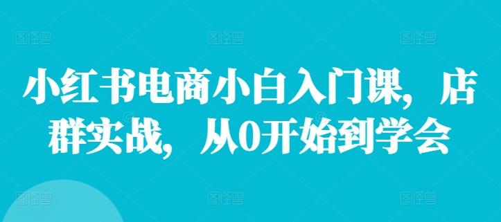 图片[1]-小红书电商小白入门课，店群实战，从0开始到学会-天天学吧