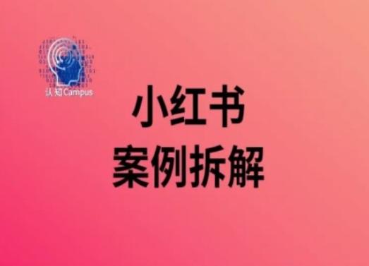 图片[1]-小红书案例拆解，深度解读小红书40万粉-天天学吧