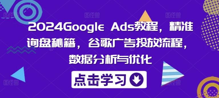 图片[1]-2024Google Ads教程，精准询盘秘籍，谷歌广告投放流程，数据分析与优化-天天学吧