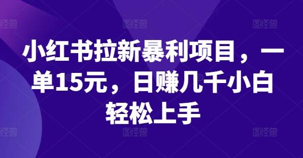 图片[1]-小红书拉新暴利项目，一单15元，日赚几千小白轻松上手【揭秘】-天天学吧