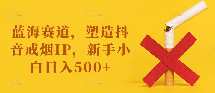 图片[1]-蓝海赛道，塑造抖音戒烟IP，新手小白日入500+【揭秘】-天天学吧