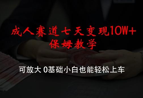 图片[1]-成人赛道七天变现10W+保姆教学，可放大，0基础小白也能轻松上车【揭秘】-天天学吧