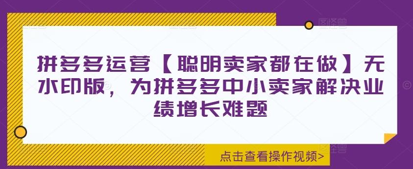 图片[1]-拼多多运营【聪明卖家都在做】无水印版，为拼多多中小卖家解决业绩增长难题-天天学吧