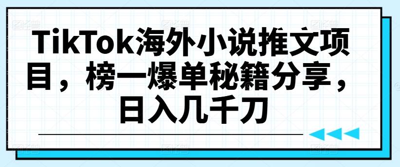 图片[1]-TikTok海外小说推文项目，榜一爆单秘籍分享，日入几千刀-天天学吧