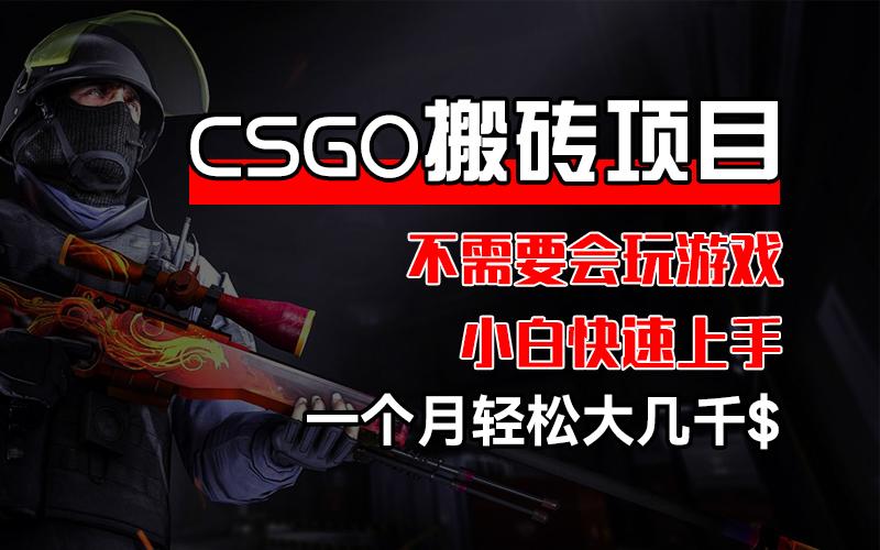 图片[1]-CSGO 装备搬砖项目，操作简单，不需要会玩游戏，小白也能快速上手，一…-天天学吧